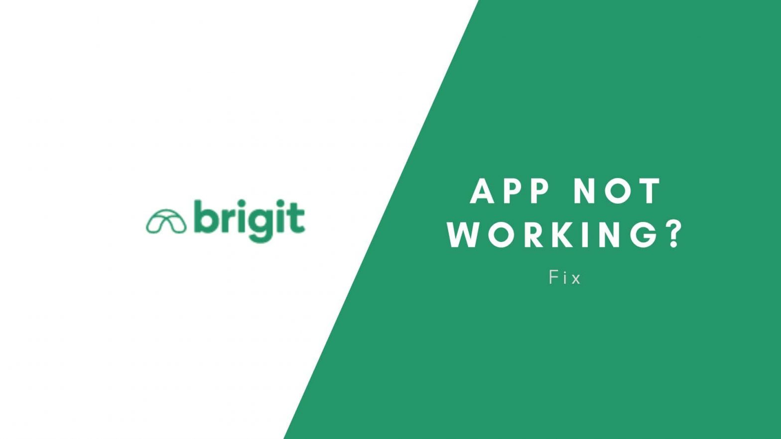 Brigit App Not Working Ways To Fix TheAppFlow